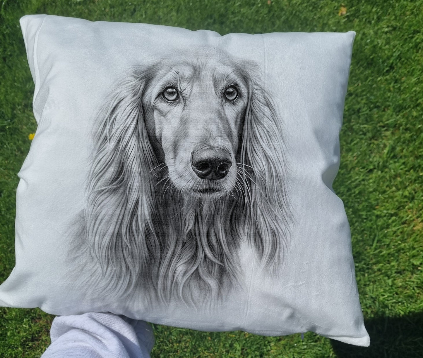 Afgan Hound Cushion