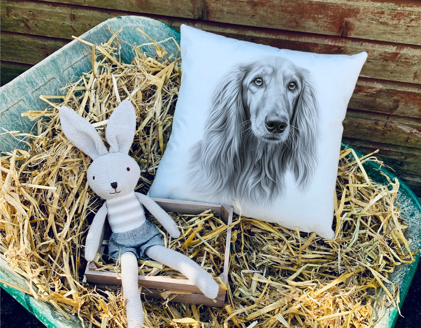 Afgan Hound Cushion