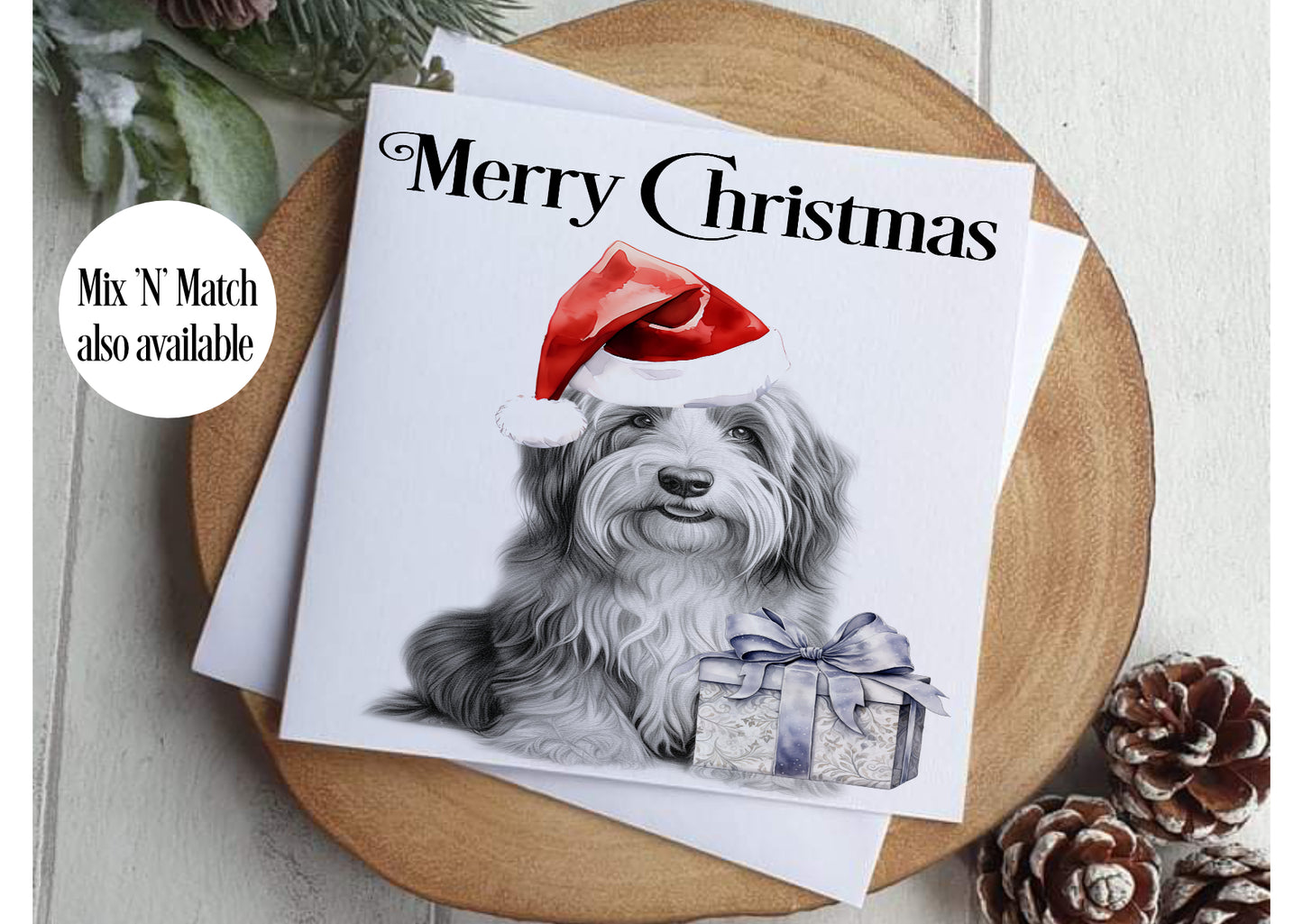 Bearder Collie Christmas Card