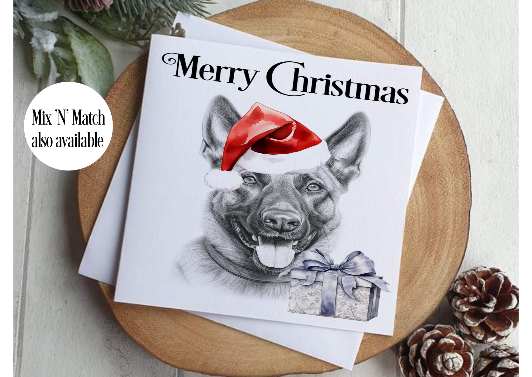 Belgian Malinois Christmas Card