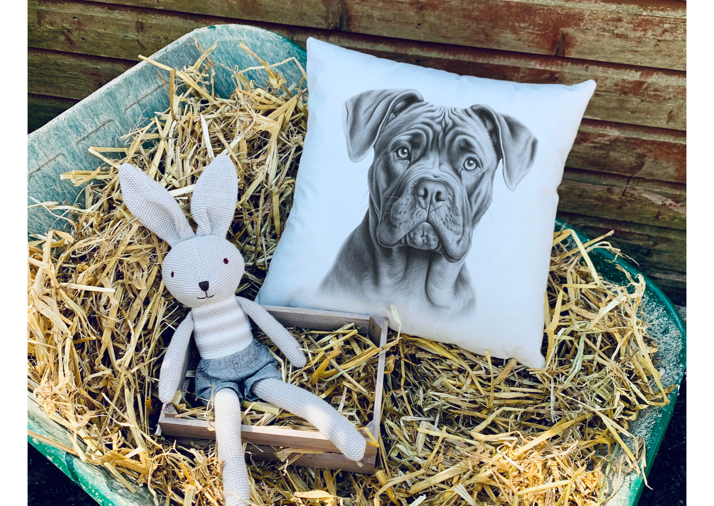 Cane Corso Cushion