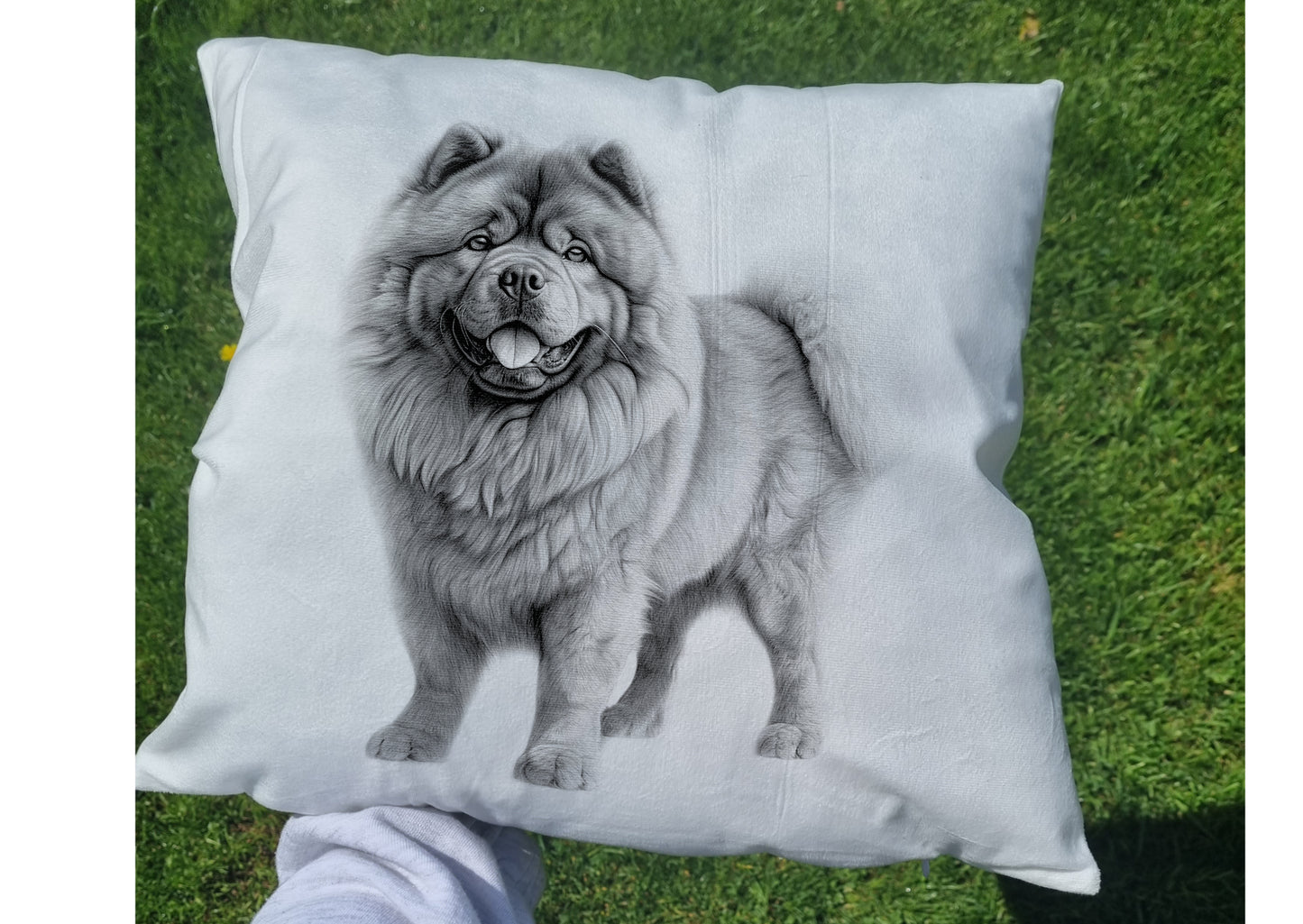 Chow Chow Cushion