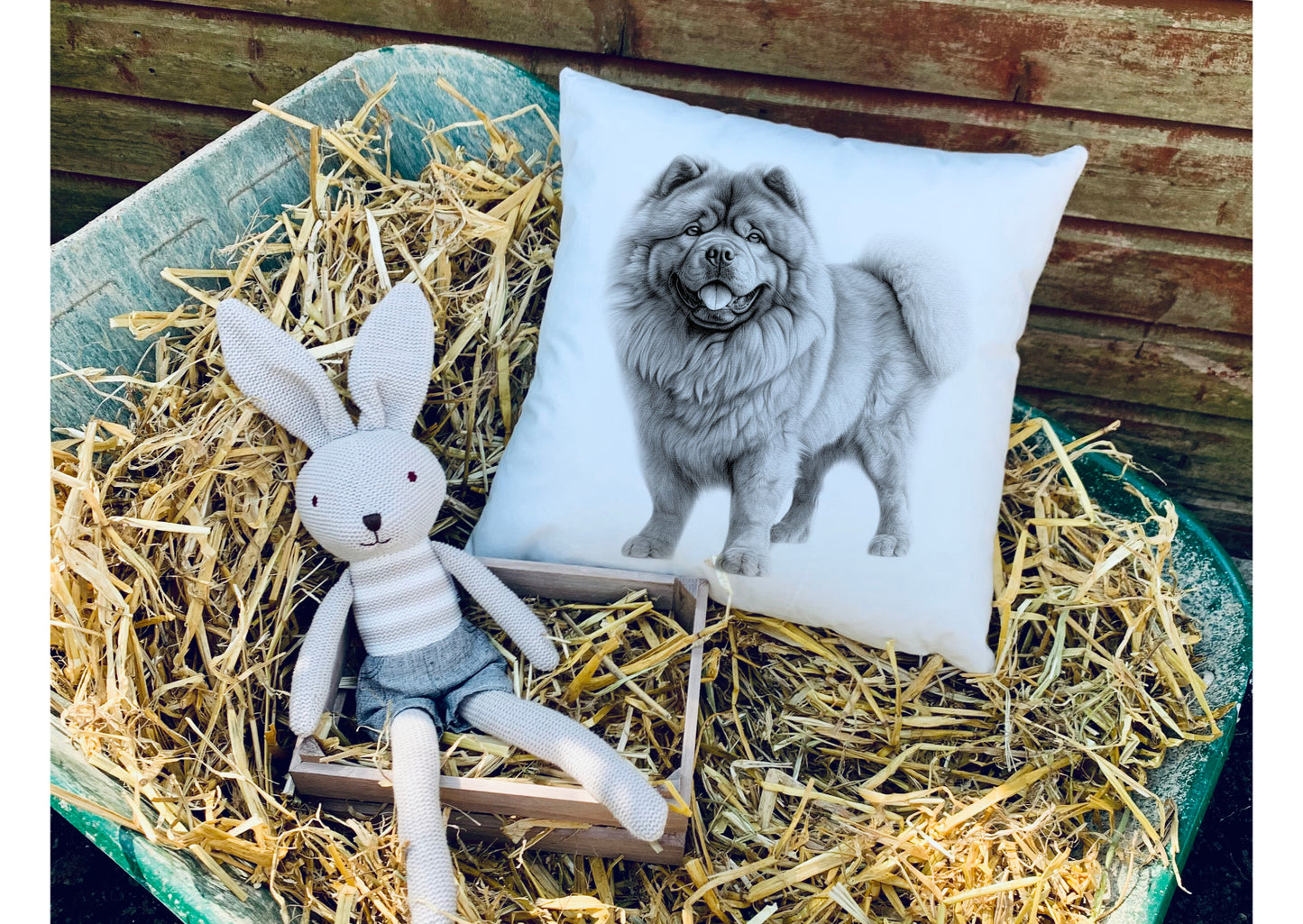 Chow Chow Cushion
