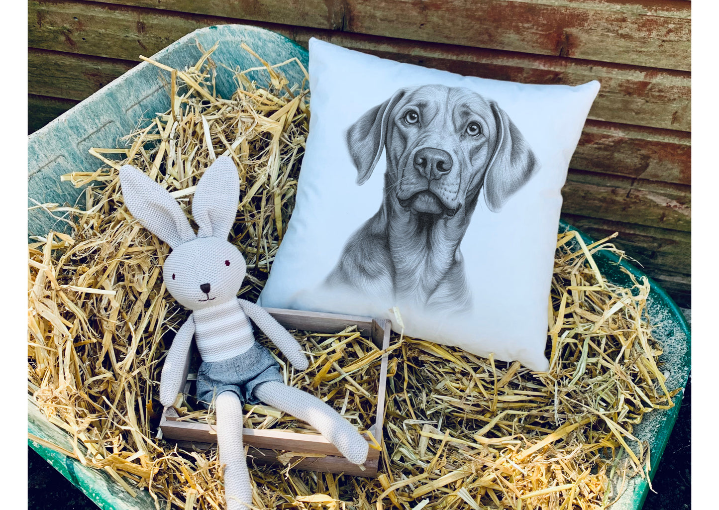 Hungarian Vizsla Cushion