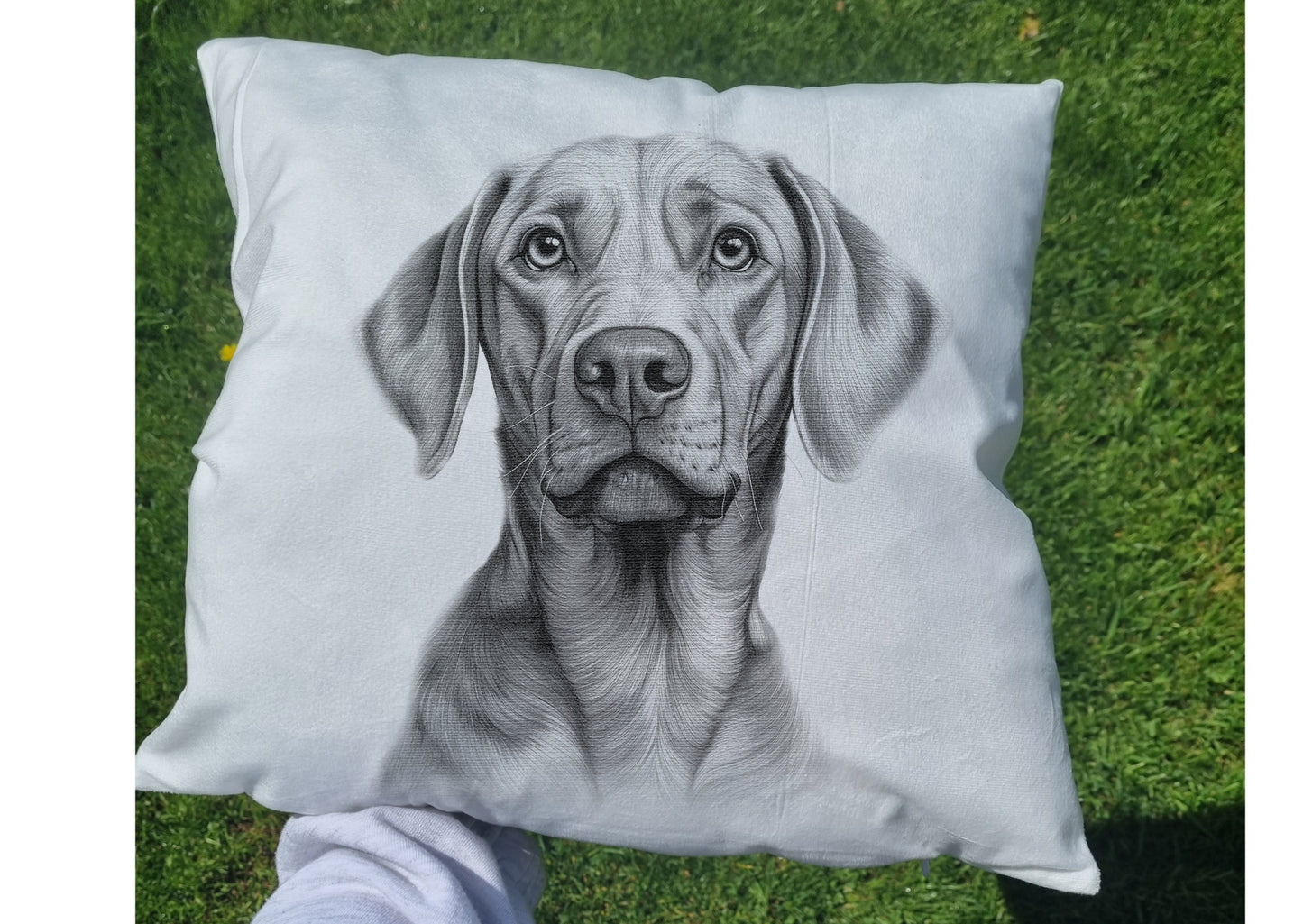 Hungarian Vizsla Cushion