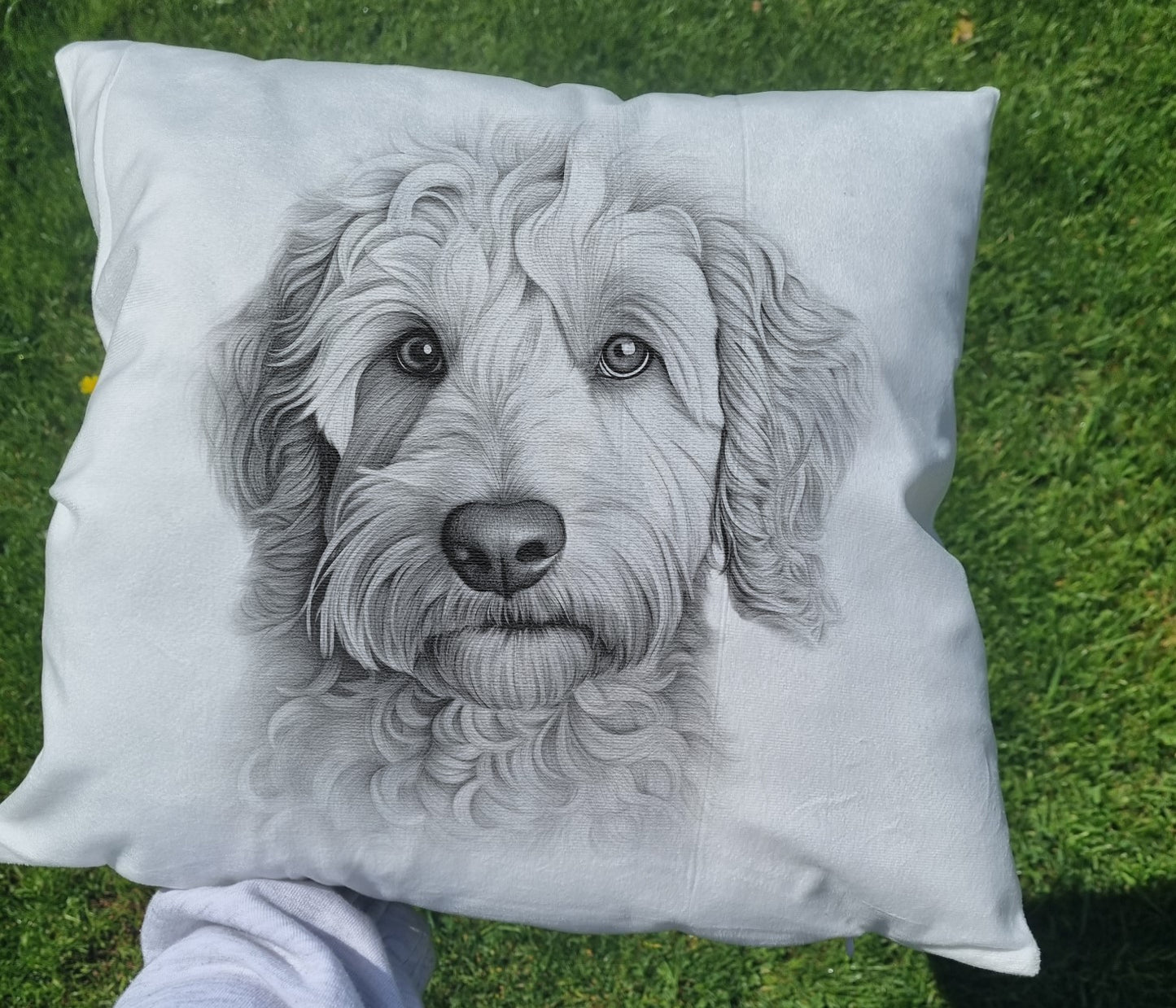 Labradoodle Cushion
