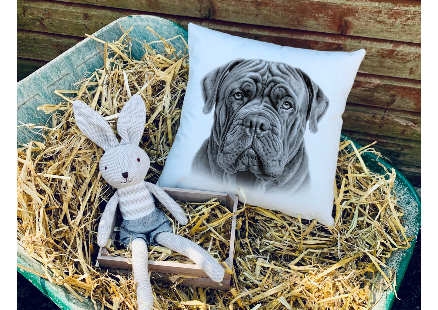 Neapolitan Mastiff Cushion