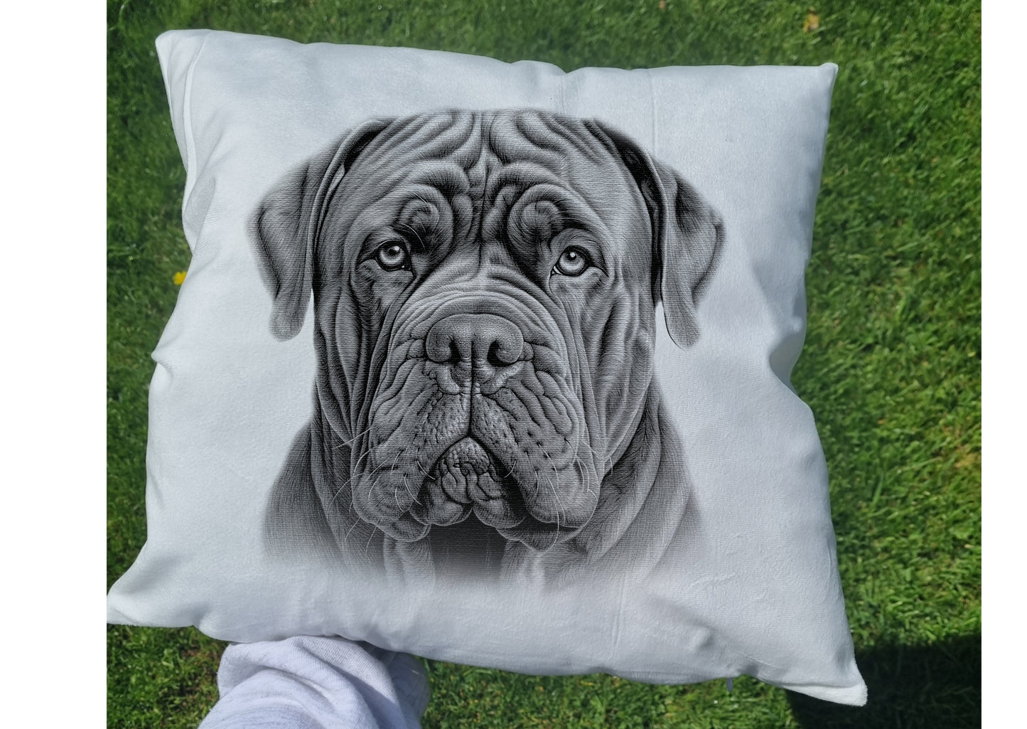 Neapolitan Mastiff Cushion