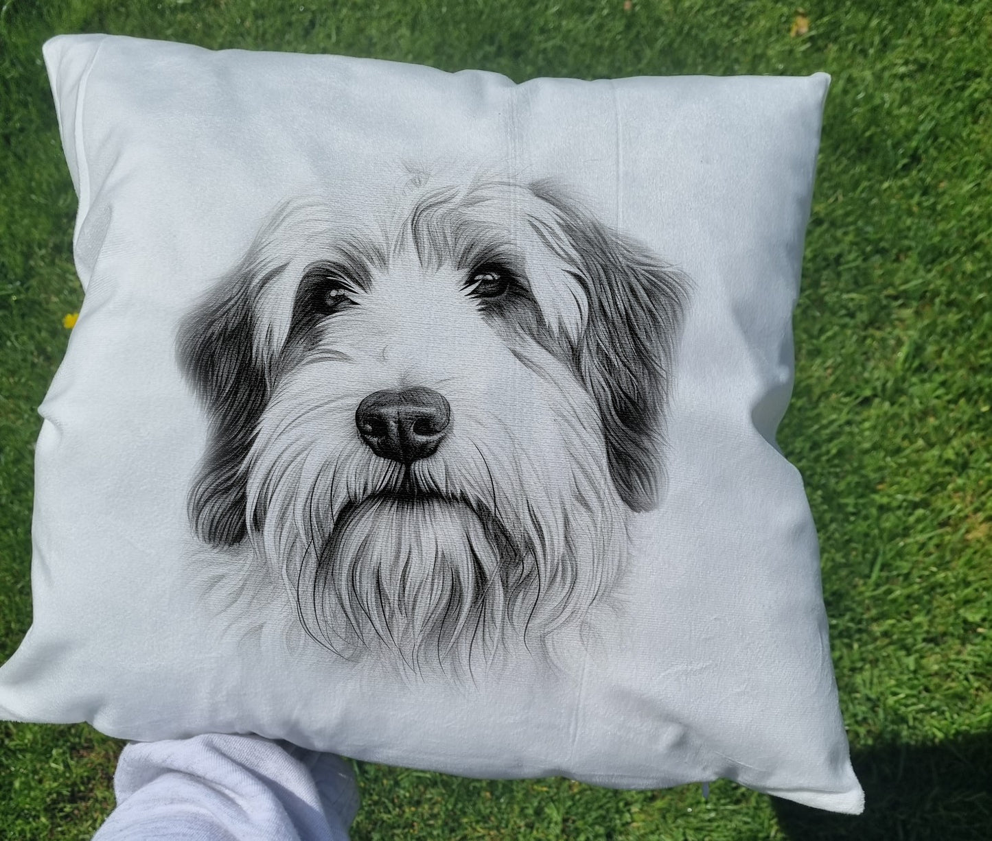 Old English Sheepdog Cushion