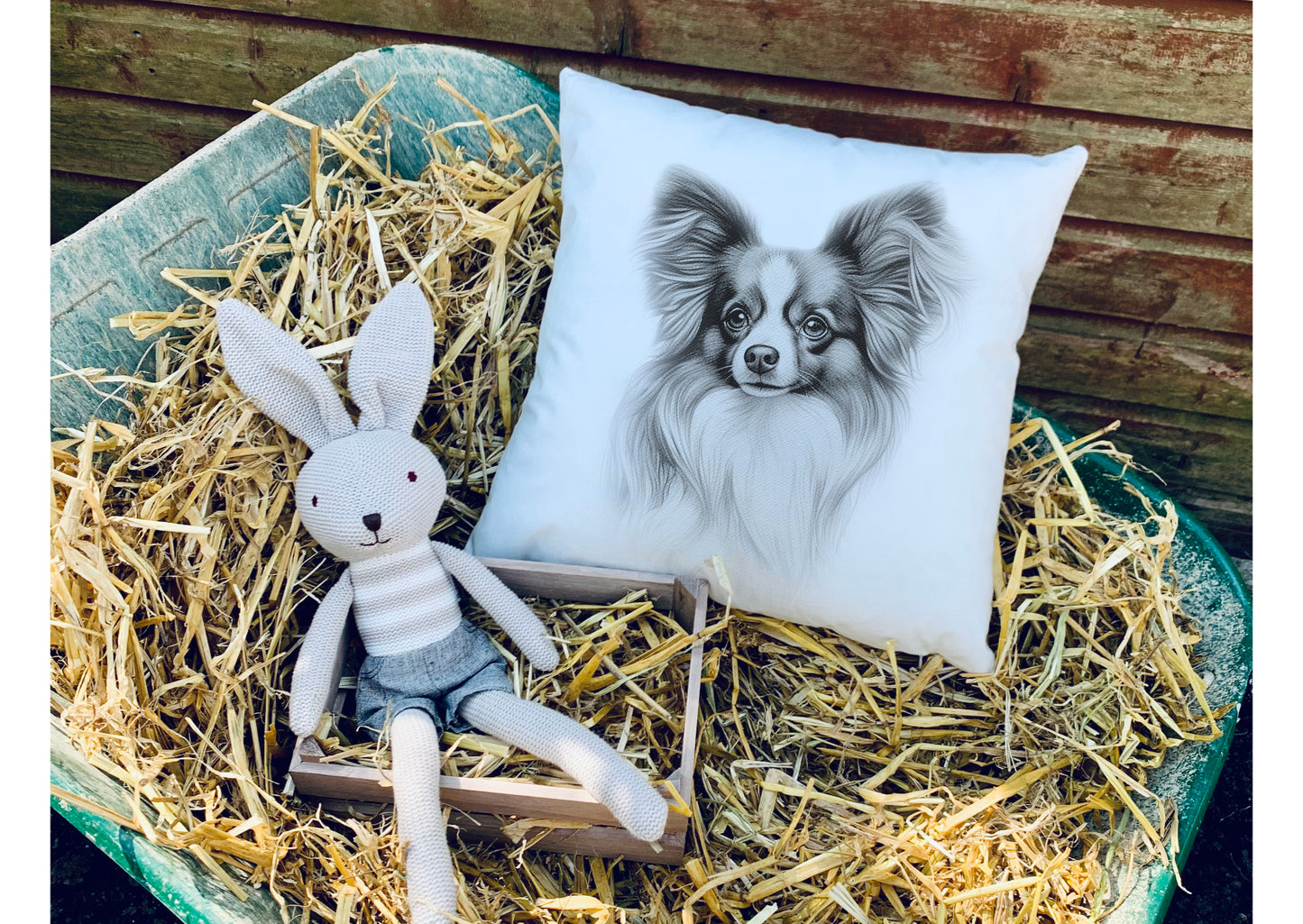 Papillon Cushion
