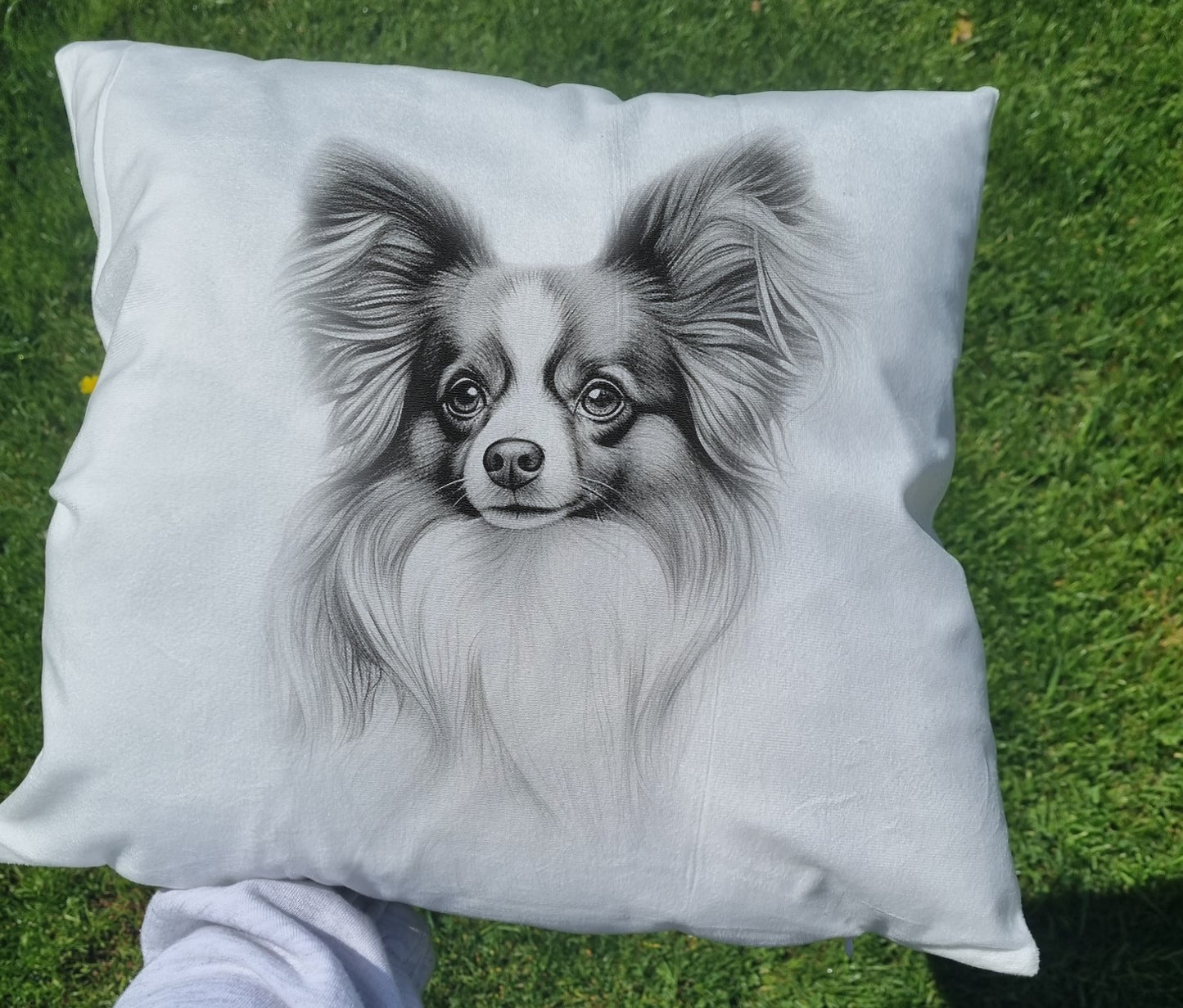 Papillon Cushion