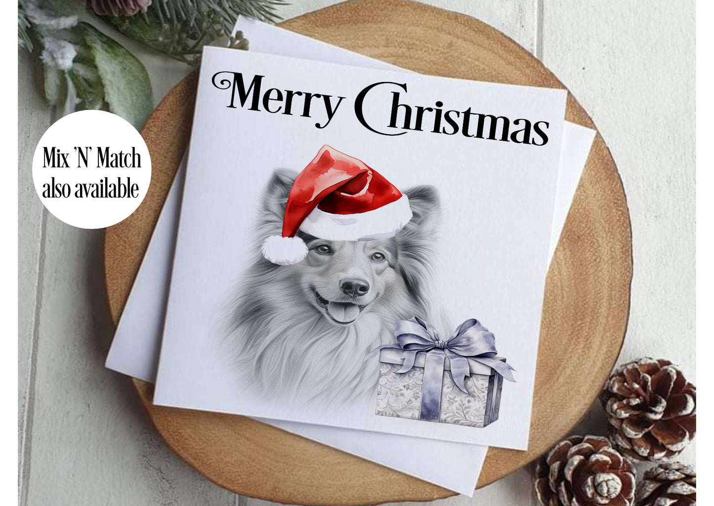Sheltie Christmas Card