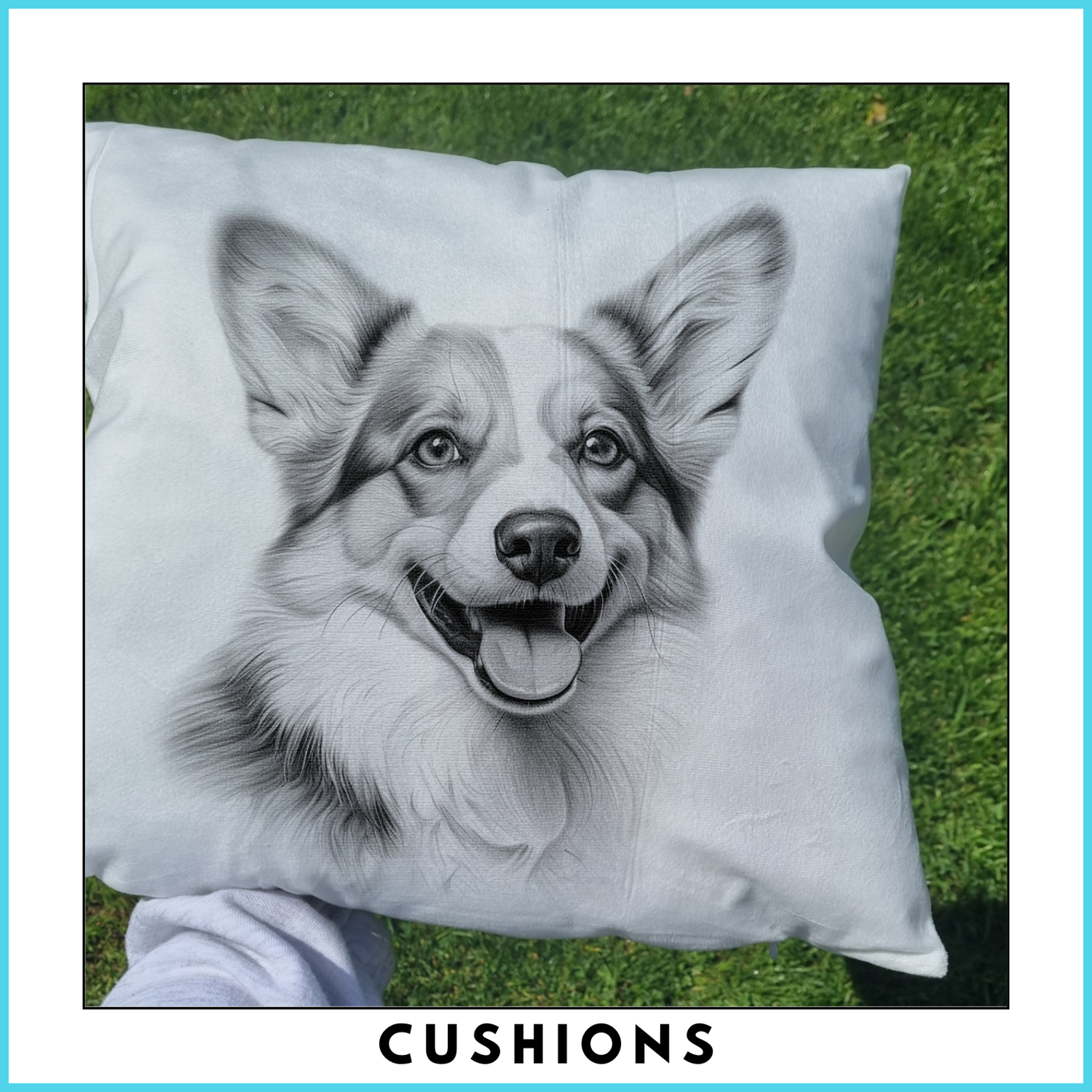 Cushions