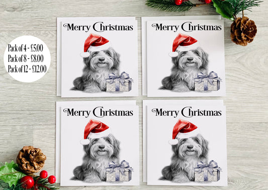 Bearder Collie Christmas Card