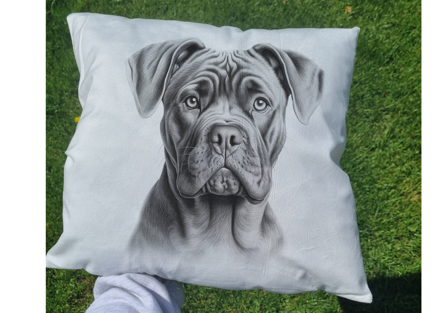 Cane Corso Cushion