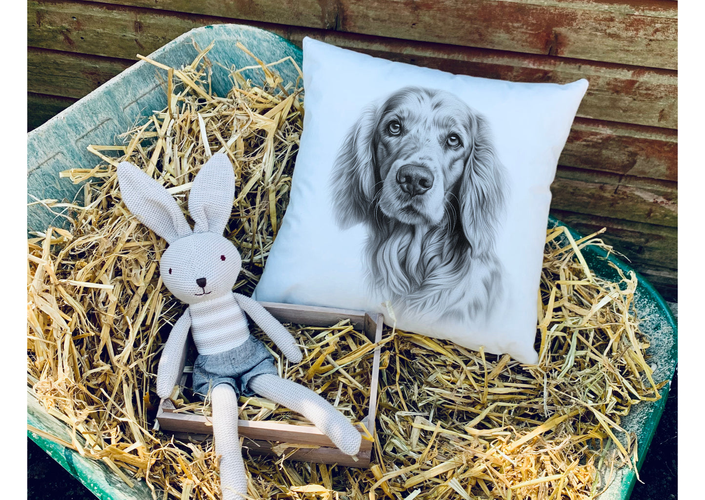 English Setter Cushion