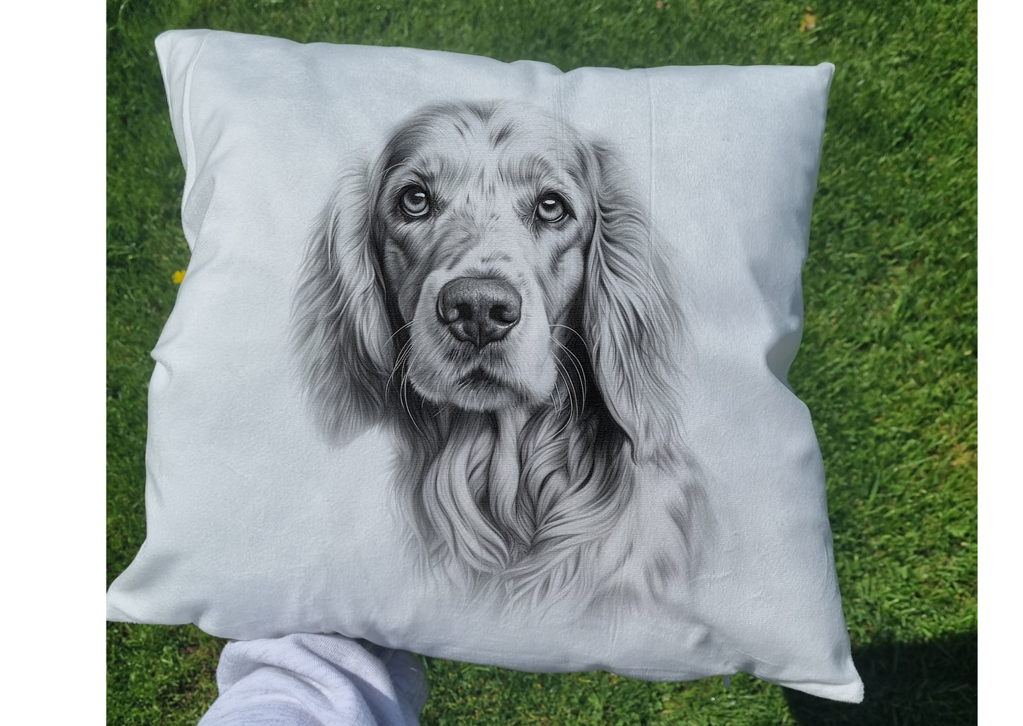 English Setter Cushion